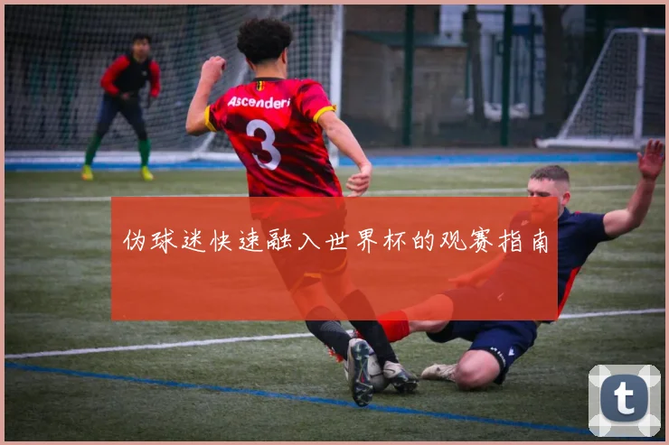伪球迷快速融入世界杯的观赛指南