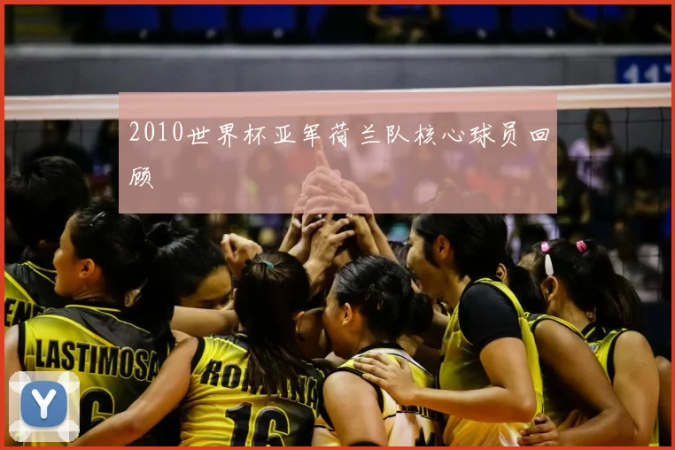 2010世界杯亚军荷兰队核心球员回顾
