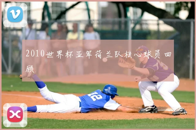 2010世界杯亚军荷兰队核心球员回顾