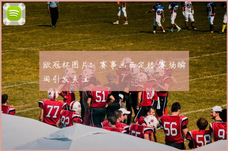 欧冠杯图片:赛事画面定格 赛场瞬间引发关注