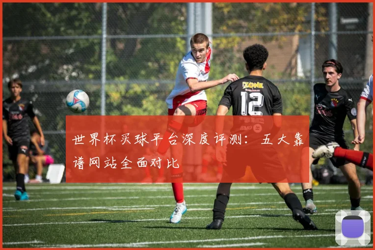 世界杯买球平台深度评测:五大靠谱网站全面对比
