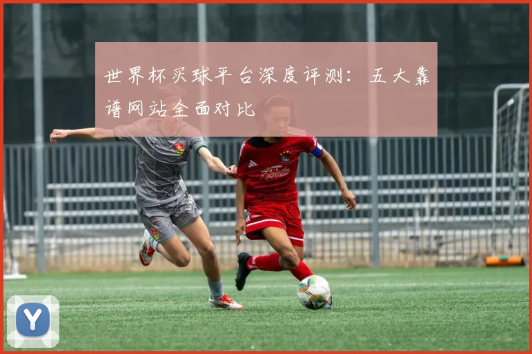 世界杯买球平台深度评测：五大靠谱网站全面对比