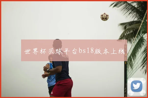 世界杯买球平台bs18版本上线