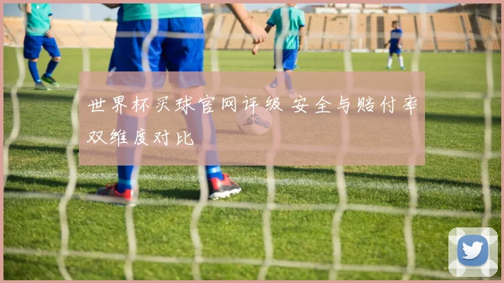 世界杯买球官网评级 安全与赔付率双维度对比