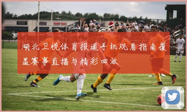 湖北卫视体育报道手机观看指南覆盖赛事直播与精彩回放