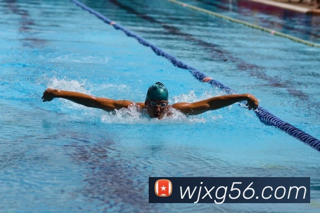 投注app官网平台生态图